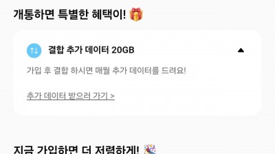 핀다이렉트SK망 4개월 100기가+5mps 3300원