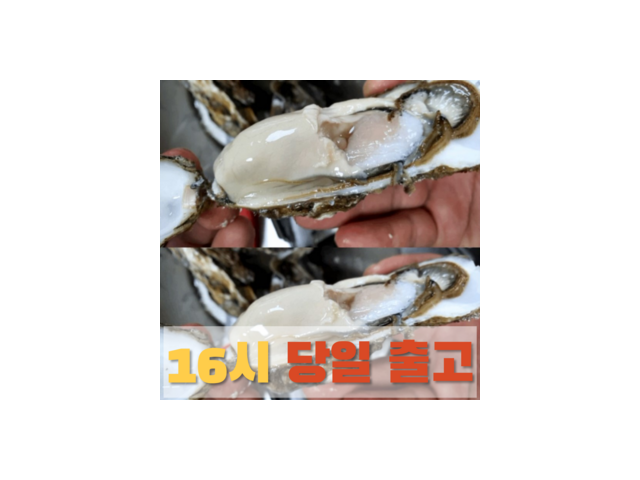 석화가격 구매 방법 정보 공유