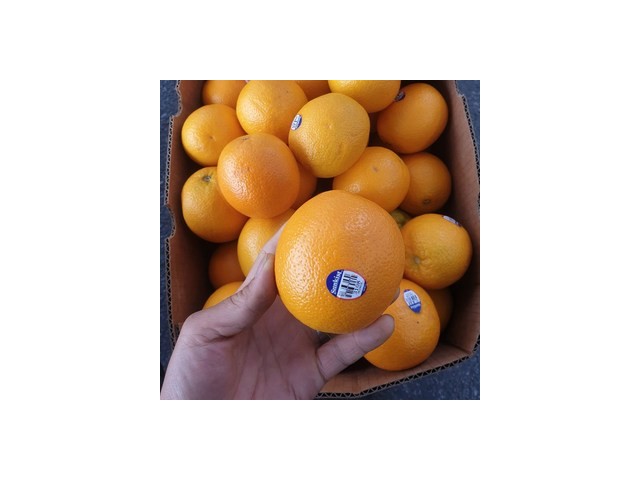 발렌시아오렌지17kg 추천 TOP10 최고의 가치를 제공하는 상품