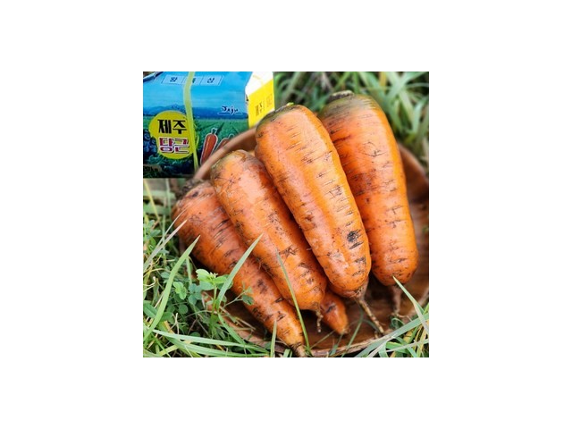 국내산홍당근3kg 실용적이면서 세련된 제품 추천