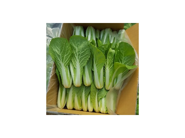 안산팜얼갈이 최고의 가치를 제공하는 상품